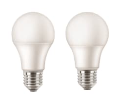 LED Bulbs